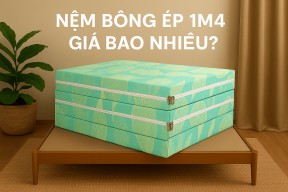 Nệm Bông Ép 1m4 Giá Bao nhiêu 